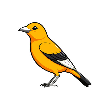 Cartoon style golden oriole illustration on transparent background formatのイラスト素材