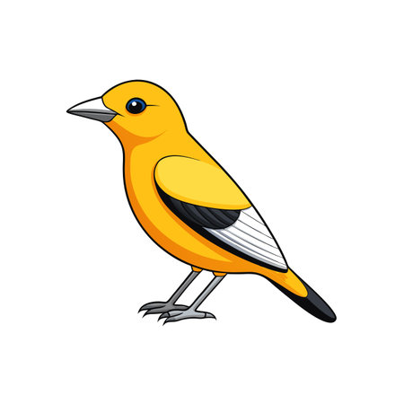 Cartoon-style vibrant yellow oriole bird illustration on white backdropのイラスト素材
