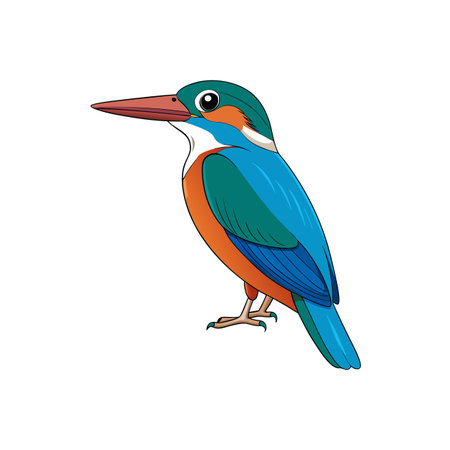Vibrant cartoon kingfisher perches on white background illustrationのイラスト素材