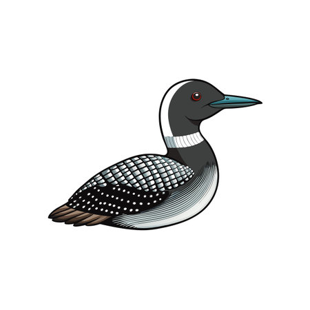 Illustration of a common loon with distinct plumage detailsのイラスト素材