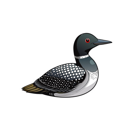 Illustration of a Common Loon with Striking Black and White Plumageのイラスト素材