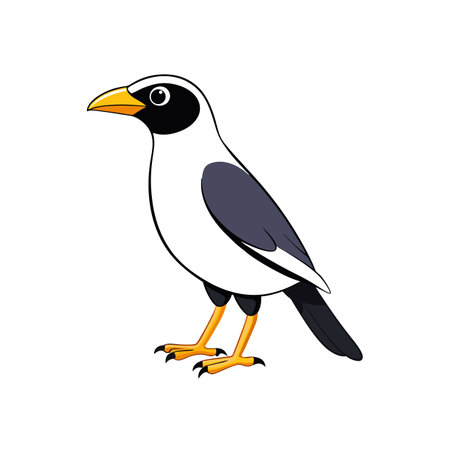 Black bird vector illustration, design for web and printのイラスト素材