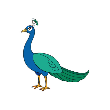 Vibrant Cartoon Peacock Illustration with Bold Colors on Whiteのイラスト素材
