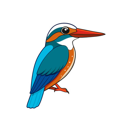 Vibrant cartoon kingfisher bird illustration with bold outlines isolatedのイラスト素材