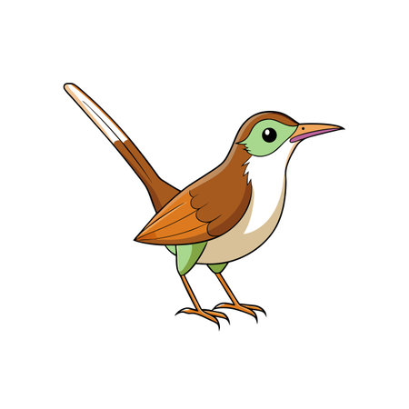 Cartoon wren illustration isolated on white background graphic styleのイラスト素材