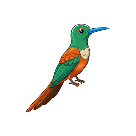 Colorful cartoon motmot bird illustration against white backgroundのイラスト素材