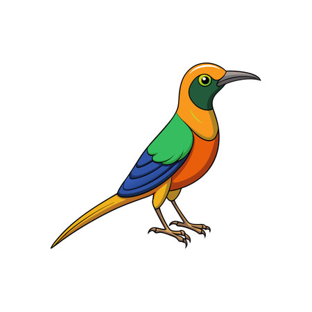 Cartoon bird illustration with vibrant plumage on white backgroundのイラスト素材