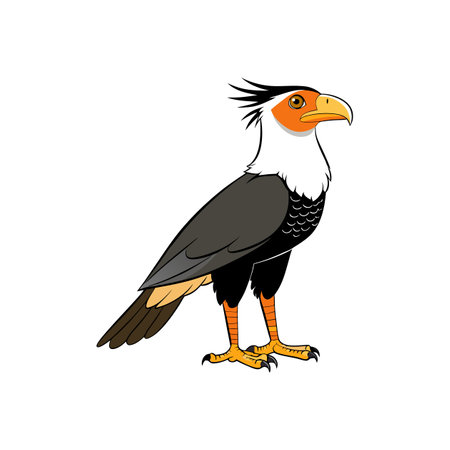 Cartoon crested caracara bird illustration in graphic novel styleのイラスト素材