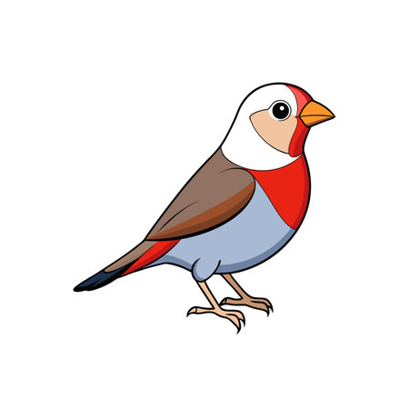 Cartoon illustration of colorful finch isolated on white backgroundのイラスト素材