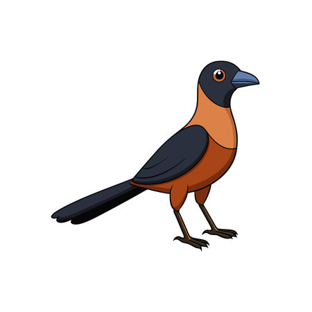 Cartoon Rufous-tailed Jacamar vector illustration on a white backgroundのイラスト素材