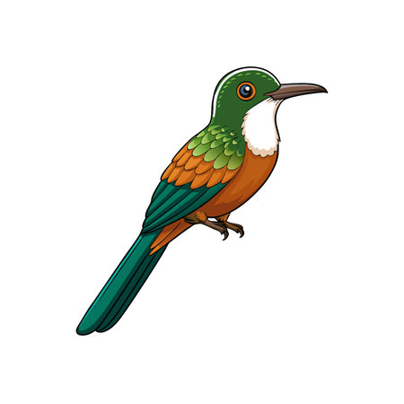 Detailed illustration of a colorful Rufous-tailed Jacamar birdのイラスト素材