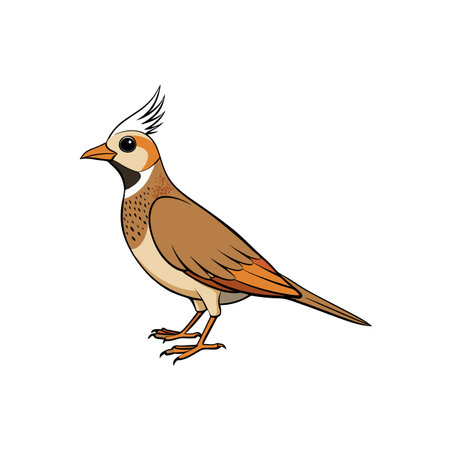 Cartoon illustration of a crested lark bird standing isolatedのイラスト素材