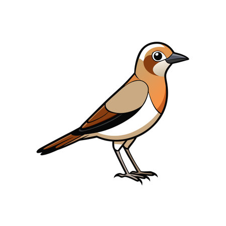 Cartoon style bird with brown and white featheringのイラスト素材