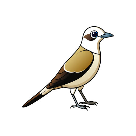 Illustration of a beautiful brown shrike bird standing sidewaysのイラスト素材
