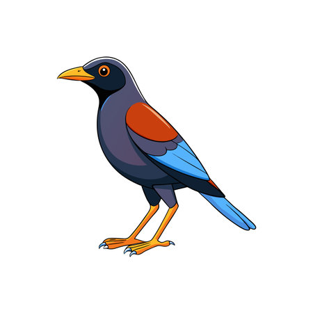 Vivid cartoon bird standing isolated on a white backgroundのイラスト素材