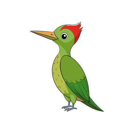 Cartoon woodpecker illustration with red crest on white backgroundのイラスト素材