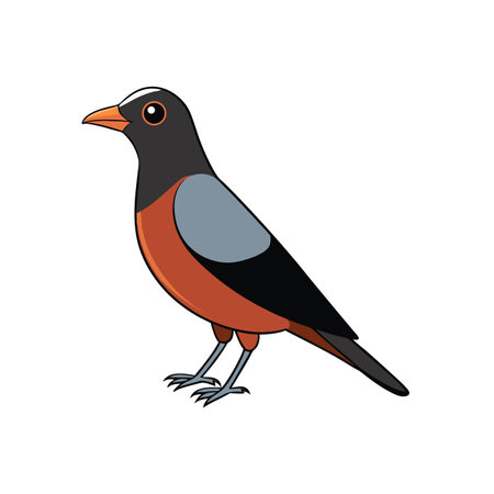 Cartoon illustration of bird with orange and black plumageのイラスト素材