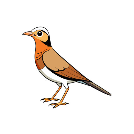 Vibrant cartoon bird with colorful plumage standing upright isolatedのイラスト素材