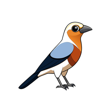 Colorful cartoon bird illustration with clean lines on white backgroundのイラスト素材