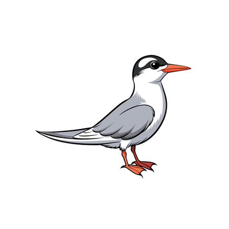 Elegant cartoon common tern standing isolated on white background
