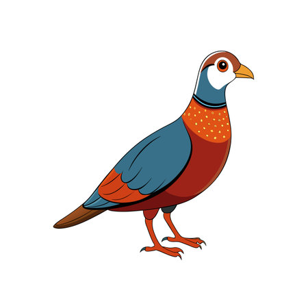 Elegant partridge vector illustration with colorful plumage and detailsのイラスト素材