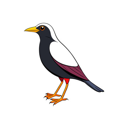 Illustration of a Bird Standing Profile in Cartoon Styleのイラスト素材