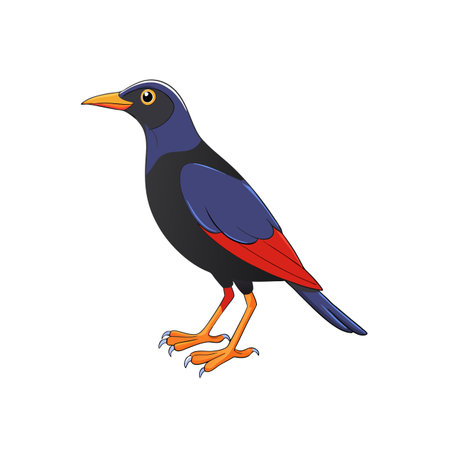 Colorful cartoon bird standing on a white backgroundのイラスト素材