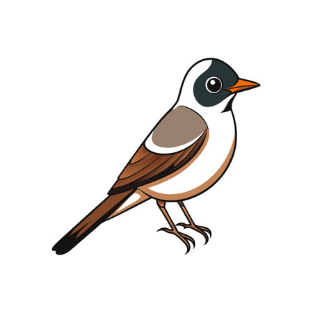 Stylized vector illustration of a passerine bird against whiteのイラスト素材