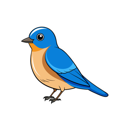 Cartoon Bluebird Illustration with Black Outline Standing on Whiteのイラスト素材
