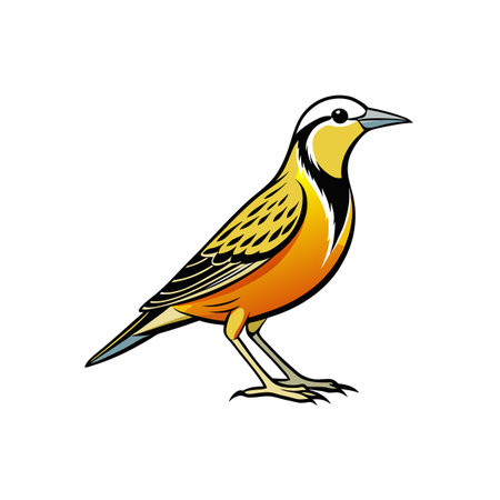 Vibrant meadowlark illustration with detailed linework and bright colorationのイラスト素材