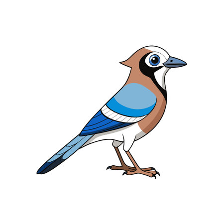 Cartoon Eurasian Jay Bird Standing Profile with Detailed Feathersのイラスト素材