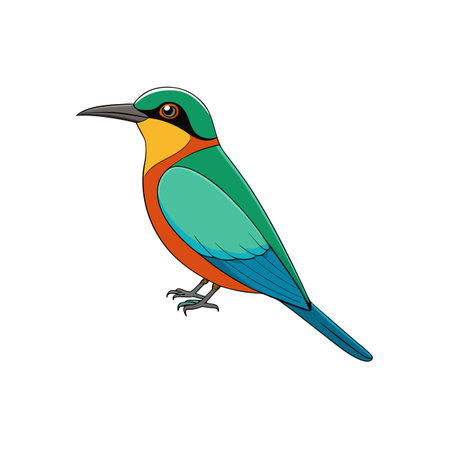 Colorful European Bee-eater bird illustration in vector formatのイラスト素材