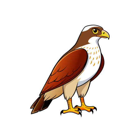 Cartoon hawk with outlined features in a standing positionのイラスト素材