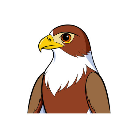 Cartoon style hawk or eagle illustration on white backgroundのイラスト素材
