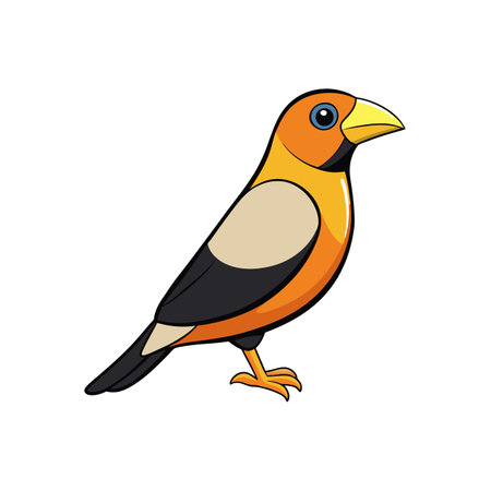 Cartoon illustration of an oriole standing on the groundのイラスト素材
