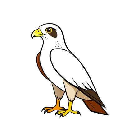 Cartoon brown falcon isolated on white full length viewのイラスト素材