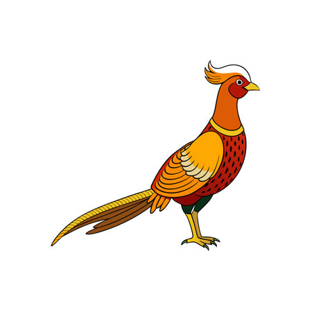 Illustration of a pheasant with colorful plumage on whiteのイラスト素材