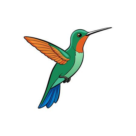 Colorful cartoon hummingbird illustration on white background. Stock imageのイラスト素材
