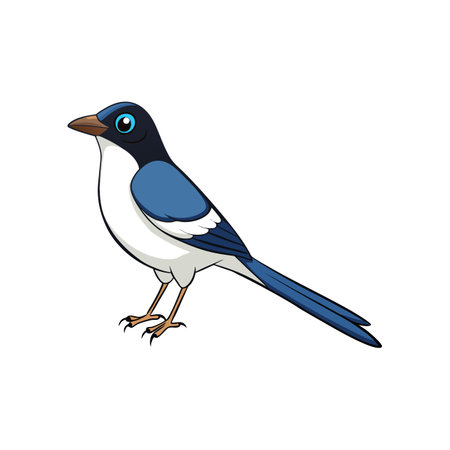 Cartoon magpie bird illustration standing on isolated white backgroundのイラスト素材