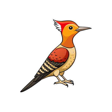 Illustration of a colorful cartoon woodpecker on white backgroundのイラスト素材