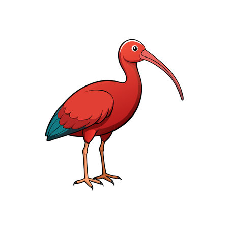 Cartoon scarlet ibis bird standing on white background illustrationのイラスト素材