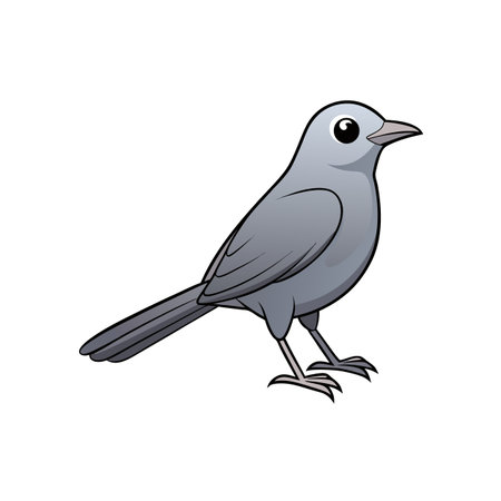 Cartoon gray bird with black outlines on white backgroundのイラスト素材
