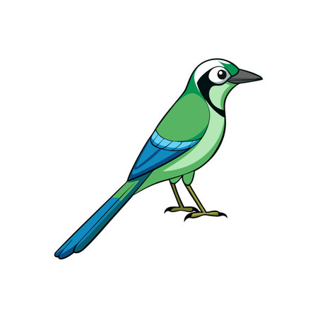 Colorful cartoon green jay bird standing isolated on whiteのイラスト素材