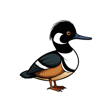 Cartoon Hooded Merganser Illustration Standing on White Backgroundのイラスト素材