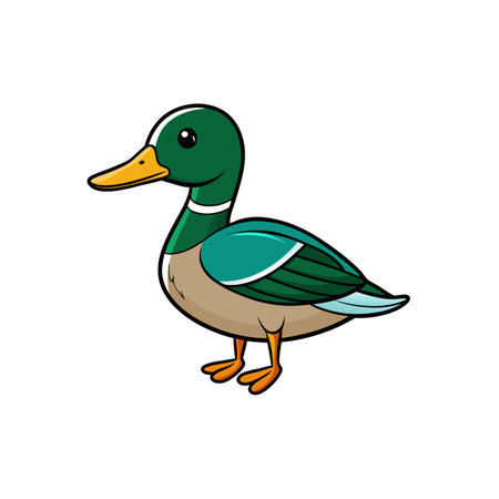 Cartoon mallard duck illustration with bright colors and bold outlinesのイラスト素材