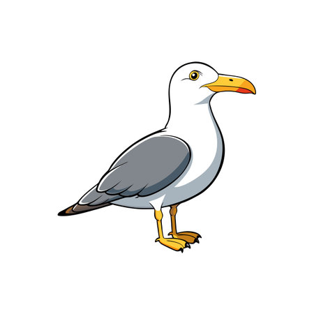 Cartoon seagull standing isolated on a white backgroundのイラスト素材
