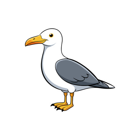 Cartoon seagull illustration on a white background standing stillのイラスト素材
