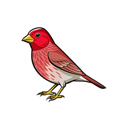 Vibrant Red Bird Illustration with Bold Outlines and Detailsのイラスト素材