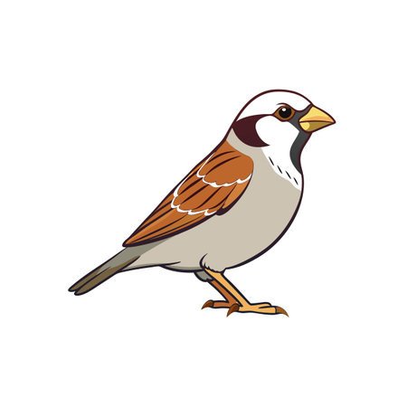 Cartoon sparrow side profile illustration with clean outlineのイラスト素材