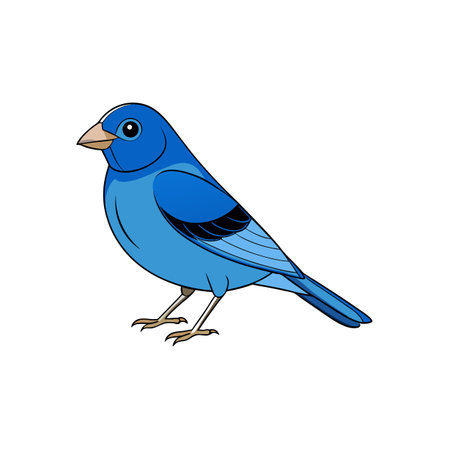 Cartoon Bluebird Illustration Standing Isolated on White Backgroundのイラスト素材
